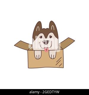 Carino cucciolo di Husky kawaii in scatola di cartone. Divertente cartone animato cane con lingua. Regalo a sorpresa insolito. Emblema, logo, etichetta per una consegna amichevole dei pacchi Illustrazione Vettoriale