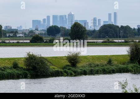 Wathamstow Wetlands, Londra, Regno Unito. 19 agosto 2021. Regno Unito Meteo: Giornata di sole a Walthamstow Wetlands. Credit: Matthew Chpicle/Alamy Live News Foto Stock