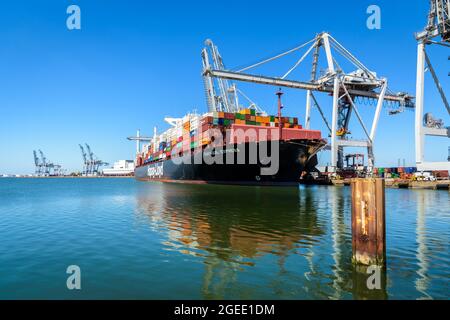 La nave container Guayaquil Express della compagnia di navigazione Hapag-Lloyd è caricata da gru a portale nel porto di le Havre, Francia. Foto Stock