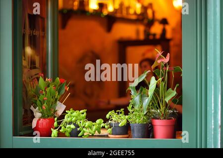 BERGAMO, ITALIA - APRILE 2019: Piccola finestra ristorante decorata con varie erbe e fiori in vasi di fiori nella città di Bergamo, Italia Foto Stock