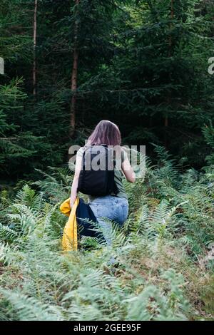 Donna irriconoscibile dal dorso cammina attraverso la foresta con zaino. Giovane donna sul pendio di felce Escursionismo in bosco in montagna. Viaggio nella natura e. Foto Stock