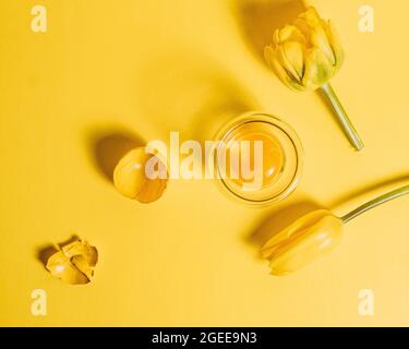 Giallo umore: tulipani, tuorlo e guscio d'uovo Foto Stock