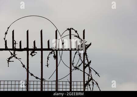 Filo spinato su sfondo grigio Foto Stock