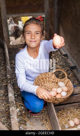 Il bambino raccoglie le uova nella casa di gallina. Focus.Nature selettivo Foto Stock