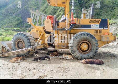 HIDROELECTRICA, PERÙ - 17 MAGGIO 2015: Bulldozer con cani vagabardati addormentati. Foto Stock