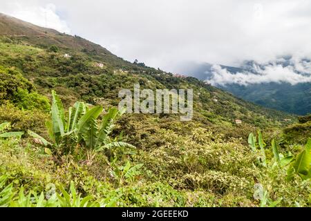 Villaggi vicino Coroico in montagna Yungas, Bolivia Foto Stock