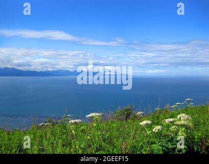 I cieli blu riflettono sulle acque di Cook Inlet vicino a Homer, Alaska. Il merletto della regina Ann fiorisce nel terzo inferiore dell'immagine. Le montagne si siedono sotto clou stratificato Foto Stock