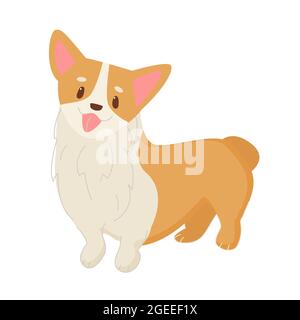 Illustrazione vettoriale isolata in piedi di Ccavi. Simpatico cane, viso carino e coda corta. Carattere amichevole in stile piatto Illustrazione Vettoriale