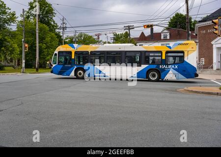 Halifax, Canada - 9 agosto 2021: Autobus di transito Halifax sulla strada Foto Stock