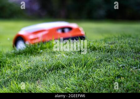 Il rasaerba automatico si muove fino al pendio di erba, prato. Falciatrice intenzionalmente sfocata. Vista laterale ravvicinata, con erba affilata in primo piano Foto Stock