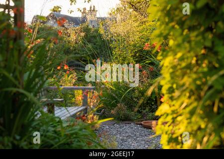 Area con posti a sedere in giardino per il tardo pomeriggio e il sole serale - Stipa gigantea retroilluminata, crosmia e luppolo dorato che cresce su un arco di legno - Regno Unito Foto Stock