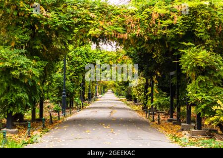 Vicolo vuoto nel parco di Cismigiu a Bucarest, capitale della Romania Foto Stock