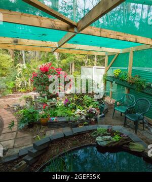 Giardino paesaggistico in fernery con acqua caratteristica / stagno con muro di mattoni e letti giardino rialzati in costruzione, in Australia Foto Stock