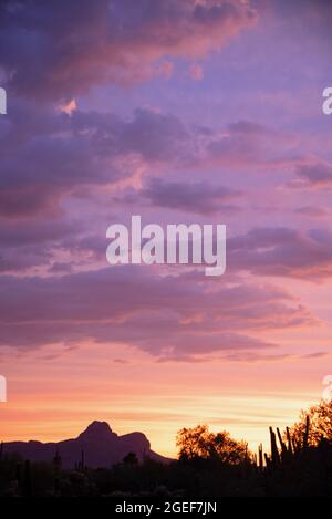 Tramonto nel deserto di sonora Foto Stock