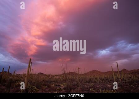 Haboob nel deserto di sonora Foto Stock