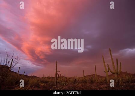 Haboob nel deserto di sonora Foto Stock