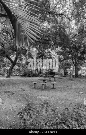 Parco pubblico urbano, noto come campo de São Bento, chiuso e senza persone a causa del blocco decretato durante la pandemia COVID-19 Foto Stock