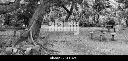 Parco pubblico urbano, noto come campo de São Bento, chiuso e senza persone a causa del blocco decretato durante la pandemia COVID-19 Foto Stock