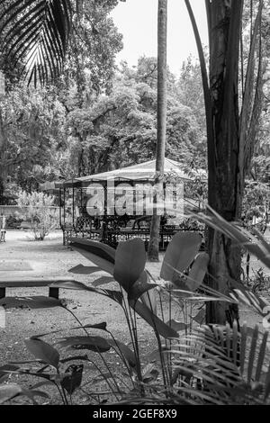 Parco pubblico urbano, noto come campo de São Bento, chiuso e senza persone a causa del blocco decretato durante la pandemia COVID-19 Foto Stock