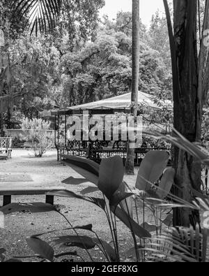 Parco pubblico urbano, noto come campo de São Bento, chiuso e senza persone a causa del blocco decretato durante la pandemia COVID-19 Foto Stock