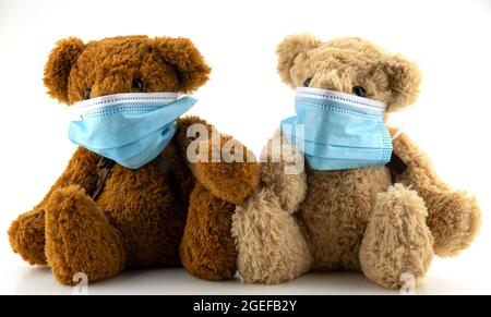 Due orsacchiotti che indossano una maschera protettiva, l'orso Teddy sono seduti in maschere mediche blu su sfondo bianco, concetto di protezione dal disfatto respiratorio Foto Stock