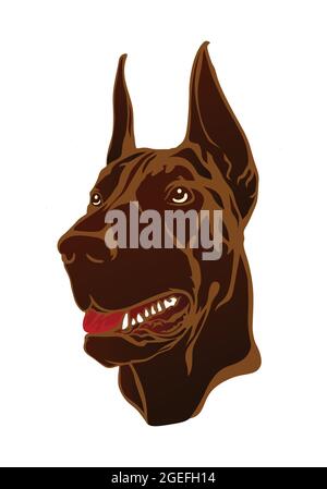 Faccia del vettore del cane Doberman isolato su bianco. Tan Doberman Pinscher, cane da guardia. Illustrazione Vettoriale