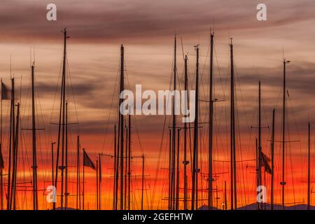 FRANCIA, PIRENEI ORIENTALI (66) CANET-EN-ROUSSILLON Foto Stock