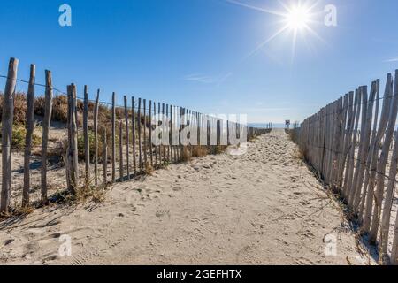 FRANCIA, PIRENEI ORIENTALI (66) CANET-EN-ROUSSILLON, SPIAGGIA DI MAR ESTANG Foto Stock
