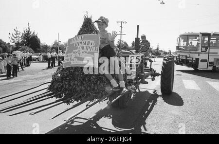 KINGAROY, QUEENSLAND, AUSTRALIA, 28 APRILE 1984: Un ragazzo guida un trattore di un appaltatore durante la sfilata all'annuale Kingaroy Peanut Festival, 1984. Scansionato da negativi originali per la pubblicazione di giornali. Foto Stock