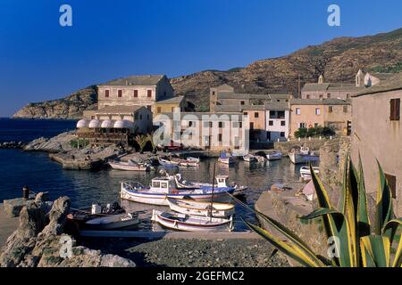 FRANCIA. HAUTE CORSE (2B) CAP CORSE. PORTA CENTURI Foto Stock