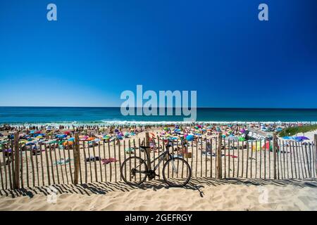 Biscarosse (Francia sud-occidentale): La spiaggia Foto Stock