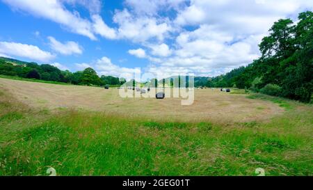 Tal-y-bont, Galles - 15 luglio 2021: Balle di paglia in un campo sulle rive del fiume Usk a Llandetty vicino Tay-y-bont, Galles Foto Stock