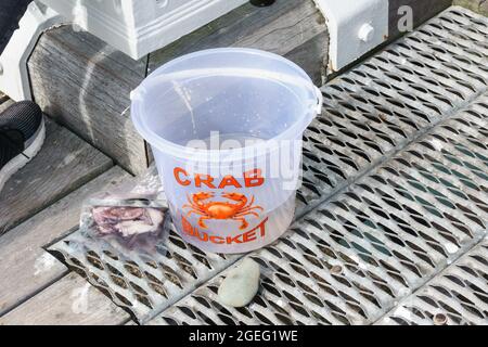 Benna da granchio usata per tenere i granchi vivi quando pescano i granchi sul Beaumaris Pier Anglesey North Wales Foto Stock