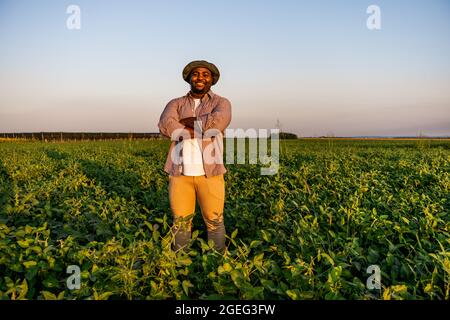 Il coltivatore è in piedi nel suo campo crescente della soia. È soddisfatto a causa del buon progresso delle piante. Foto Stock