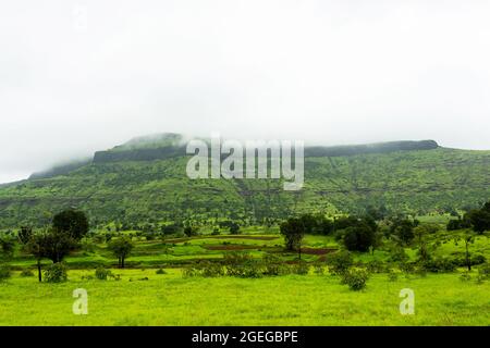 Vista di collina in nebbia tempo, Tringalwadi, Nashik, Maharashtra, India. Foto Stock
