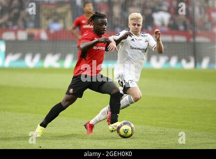 Jeremy Doku di Rennes, Edvard Tagseth di Rosenborg durante la UEFA Europa Conference League, Play-off, 1a tappa tra Stade Rennais e Rosenborg BK il 19 agosto 2021 al Roazhon Park di Rennes, Francia - Foto Jean Catuffe / DPPI Foto Stock