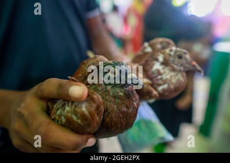 Dhaka, Bangladesh. 20 ago 2021. I musulmani del Bangladesh Shia hanno osservato Ashura con rituali in lutto nel ricordo del martirio del nipote del profeta Imam Hossain a Karbala, in Dhaka, Bangladesh, il 20 agosto 2021. Hanno portato fuori la processione principale conosciuta come Tazia o il mausoleo simbolico di Imam Hasan e di Hossain da Hossaini Dalan Imambara di vecchia Dhaka. Ashura è osservato il 10 giorno del mese lunare Muharram nel calendario islamico. Segna il culmine del ricordo di Muharram quando i musulmani sciiti commemorano l'uccisione del nipote del profeta Mohammad, Imam Hossain Foto Stock