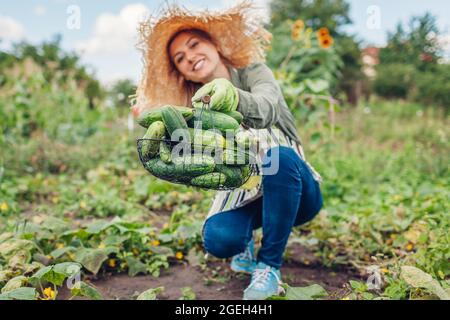 Giovane donna contadina che raccoglie cetrioli in giardino. Giardiniere felice che raccoglie le verdure nel cestino. Cibo sano crescente Foto Stock
