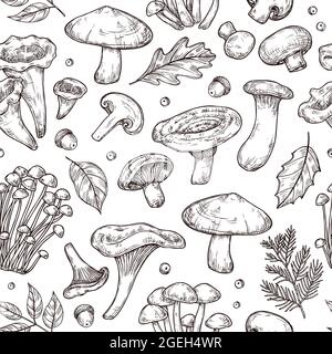 Autunno foresta modello. Schizzare funghi, frutti di bosco frutti di bosco lascia sfondo. Decorativo vintage botanica raccolto vettore texture senza cuciture Illustrazione Vettoriale