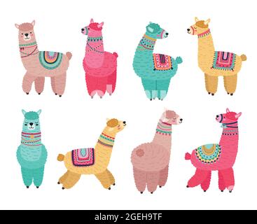 Simpatico lama. Divertente alpaca, simpatici personaggi della fauna selvatica messicana dei lama. Creative animali di lana tribale, isolato cartone animato nursery animali vettore set Illustrazione Vettoriale