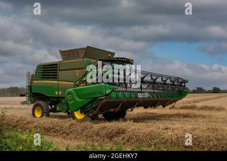 La mietitrebbia John Deere lavora in modo leggero in un campo di grano nel sud dell'Inghilterra. Foto Stock