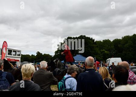 Cotswold Show Cirencester Inghilterra uk 2021 Foto Stock