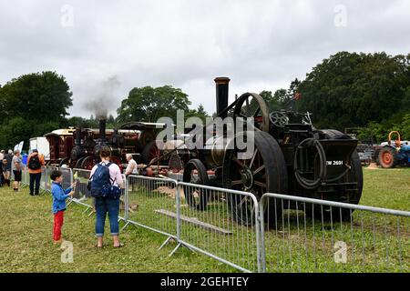 Steam Traction Engines Cotswold Show Cirencester Inghilterra uk 2021 Foto Stock