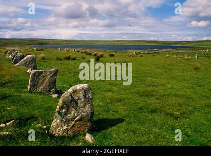 Achavanich lungo (68 x 30m) a forma di U di pietre in piedi guardando N verso l'estremità chiusa e Loch Stemster, Caithness, Scozia, Regno Unito. Foto Stock