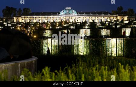 Potsdam, Germania. 22 gennaio 2019. Palazzo Sanssouci al Potsdam Palace Night nel Parco Sanssouci. Sotto il motto 'Les Rendez-Vous au Park Sanssouci', concerti, installazioni leggere e staging sono offerti nell'ambiente del parco storico di Sanssouci. Credit: Brittta Pedersen/dpa-Zentralbild/dpa/Alamy Live News Foto Stock