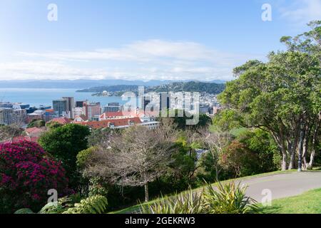 Vista dalla collina osservatorio in giardini botanici sulla città di Wellington, porto e lontano sobborgo di Oriental Bay. E colline all'orizzonte. Foto Stock