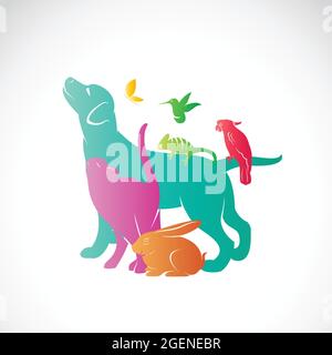 Gruppo vettore di animali domestici - cane, gatto, pappagallo, camaleonte, coniglio, Farfalla, hummingbird isolato su sfondo bianco, / Vector animali domestici per il tuo design. Illustrazione Vettoriale