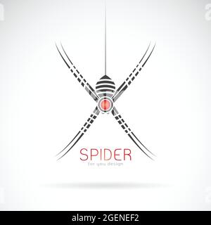 Disegno vettoriale a ragno su sfondo bianco. Insetto. Animale. Illustrazione vettoriale a livelli facilmente modificabile. Illustrazione Vettoriale