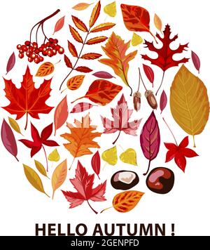 Ciao autunno, poster con foglie secche e fogliame Illustrazione Vettoriale