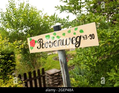 05 agosto 2021, Schleswig-Holstein, Heide: Un segno con l'iscrizione 'Rosenweg' si trova in un'associazione di giardini di assegnazione. Per molto tempo i giardini di assegnazione erano considerati piuttosto borghesi - ma nel frattempo anche i giovani stanno scoprendo i giardini di assegnazione per se stessi. (A dpa 'autosufficienza e piccole fughe urbane - giardini di allotment nel Nord') Foto: Daniel Bockwoldt/dpa Foto Stock